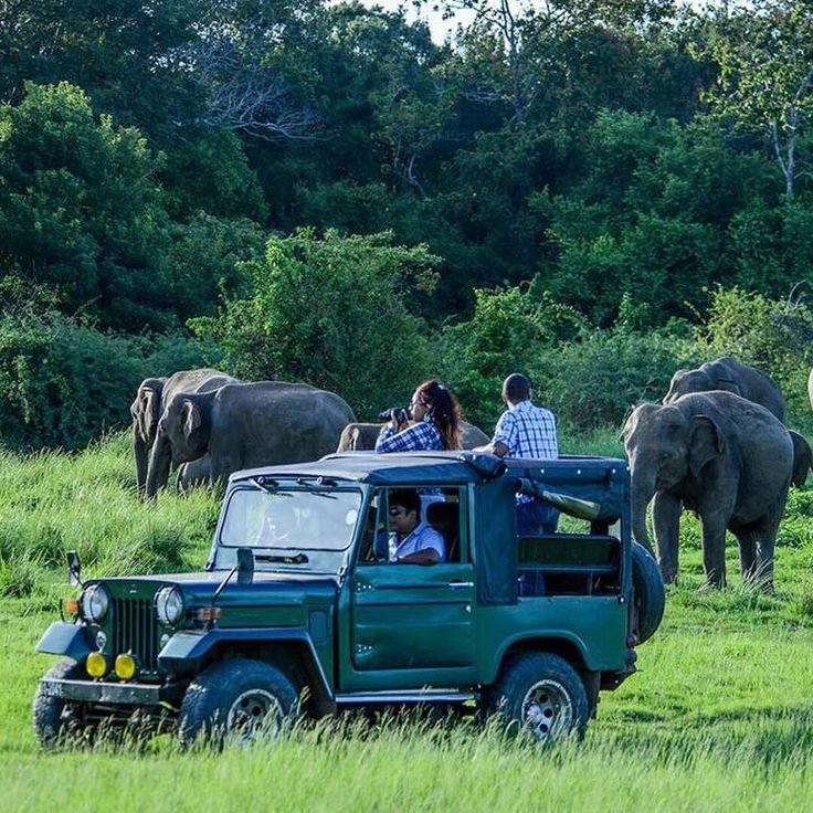 Udawalawe National Park